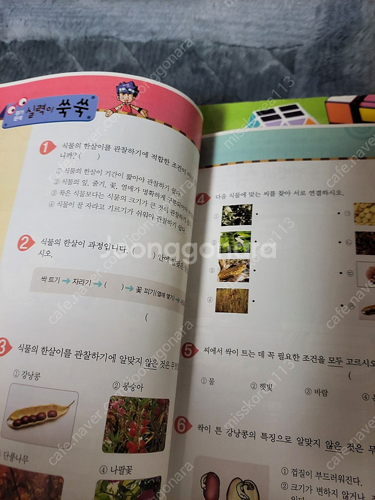 why 교과서중심 3.4학년--2