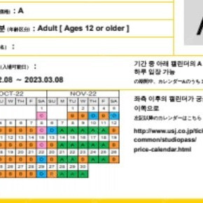 유니버셜스튜디오재팬 성인 입장권