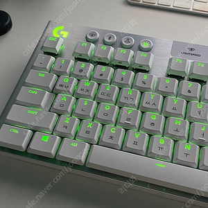 로지텍 G913 TKL 화이트 키보드