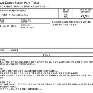 도쿄 디즈니씨 티켓 2인 판매