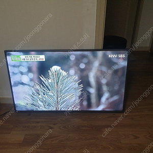 LG tv