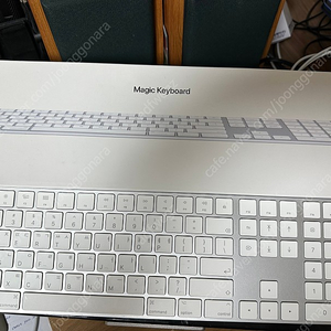 애플 매직키보드2 숫자판 (Magic keyboard with numberic keypad)