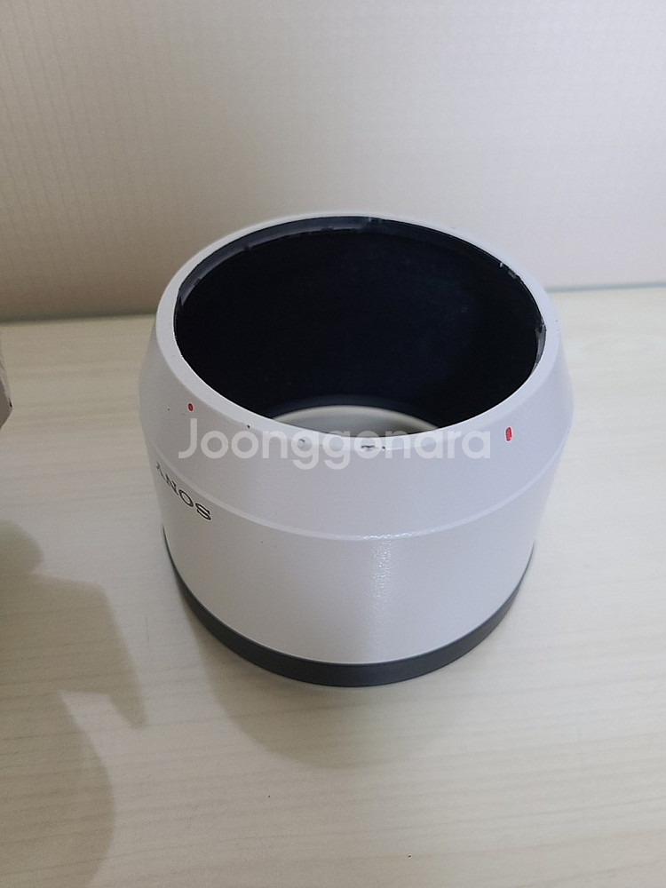 소니 Sel 70200G (애기유령)--4