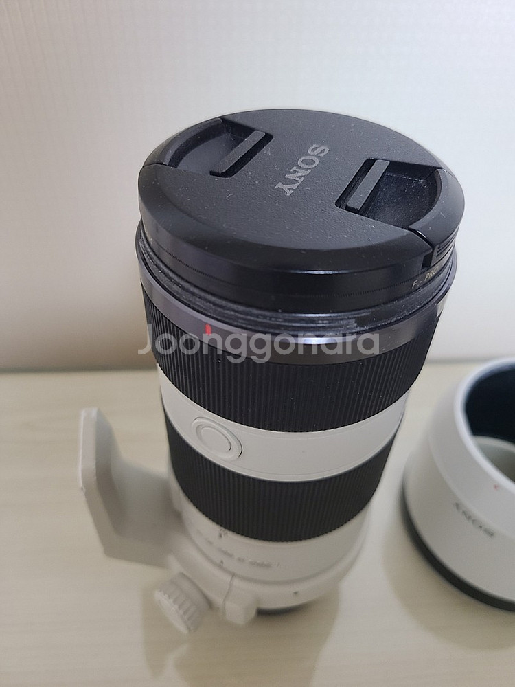 소니 Sel 70200G (애기유령)--5