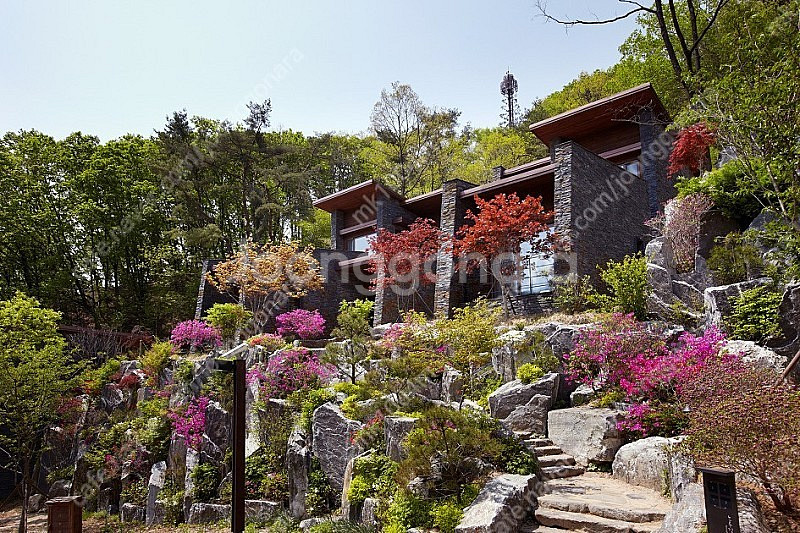 호반 리솜 포레스트 별장형 24평형 1/20~22 금토...--0