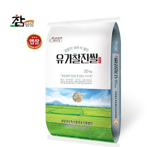 22년햅쌀)농협 찹쌀10프로이내 섞인쌀20kg 무료배송43900원 당일발송