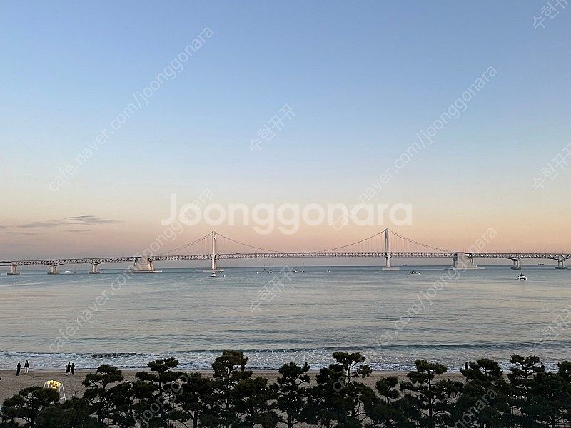 부산 광안리 호텔1 오션뷰 2층 여성 캡슐룸 (1/18...--1