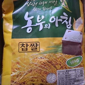 22년 국내산 찹쌀10kgx2포(총20kg)무료배송48900원