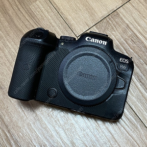 캐논 eos r6 (pd-e1 포함)