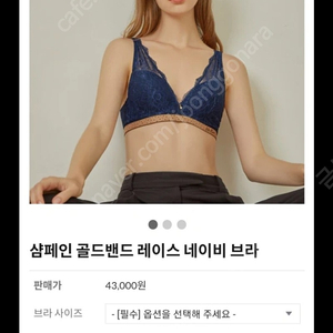 엘르 샴페인 골드밴드 브라,팬티 2세트