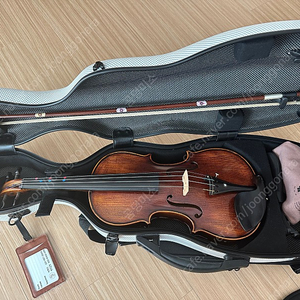 바이올린 성인용
