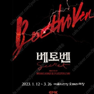 박효신 베토벤 티켓 좌석당 정가 +1.5 양도