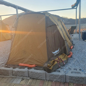 버팔로 뉴프로틴 돔 텐트