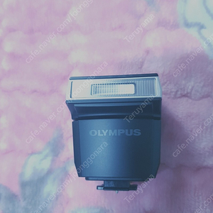 olympus camera flash