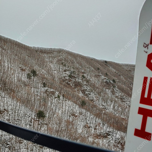 비발디파크스키장 1월23일 1박