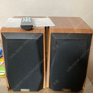 캔스톤 X5BT 블루투스 스피커 판매
