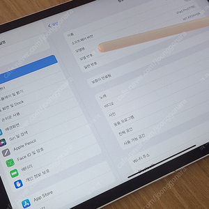 아이패드프로 3세대 [11형 1세대] iPad Pro Wi-Fi 256GB - 실버(펜슬포함)