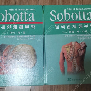 sobotta 원색인체해부학