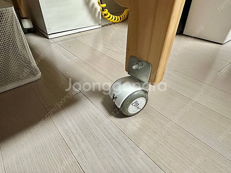 쁘띠라뺑 뉴에코베어 무도장 색상--4