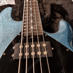 이번주만 250!뮤직맨 스팅레이 5현(musicman stingray 5 special HH) 판매합니다!