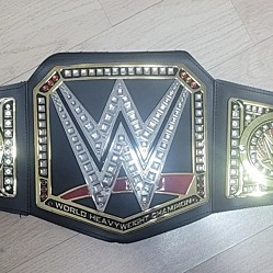 WWE 월드헤비급 챔피언 벨트 판매합니다.