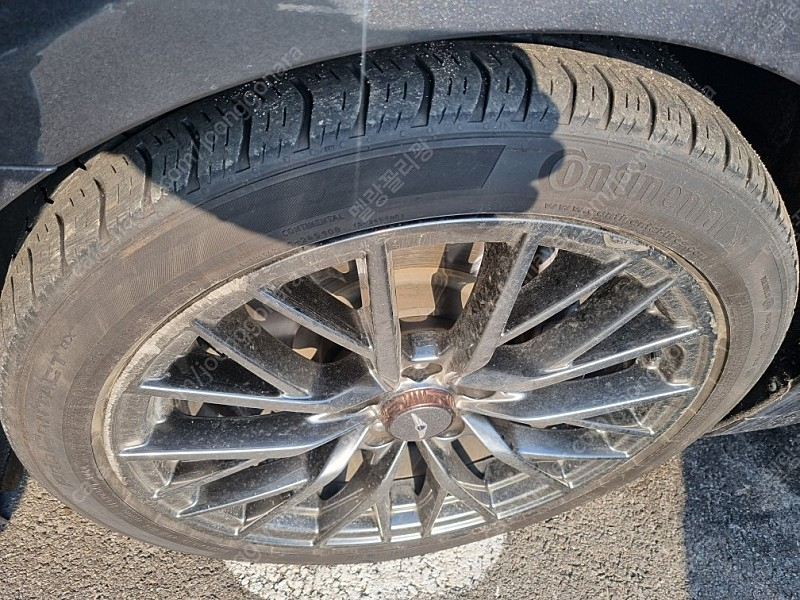 g80 dh 용 타이어 4개 판매합니다--5