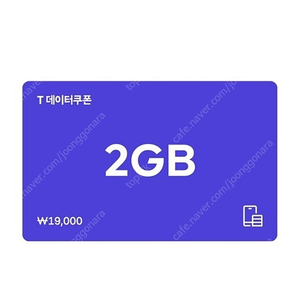 SK 데이터쿠폰 2GB