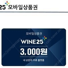 와인25 3000원권