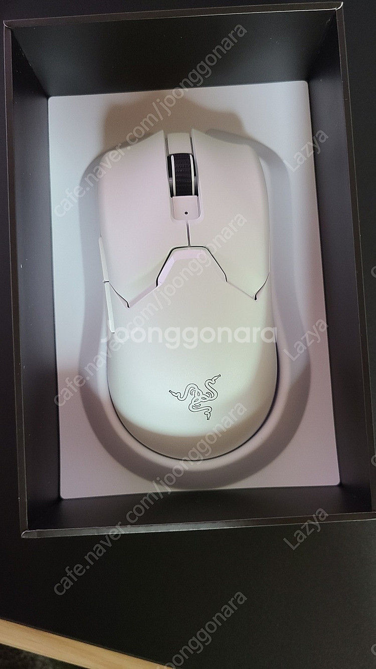 바슈라 razer viper v2 pro 화이트 국내정...--0