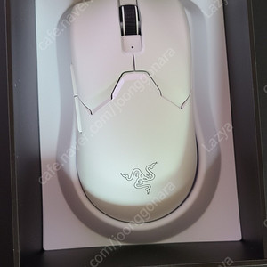 바슈라 razer viper v2 pro 화이트 국내정발