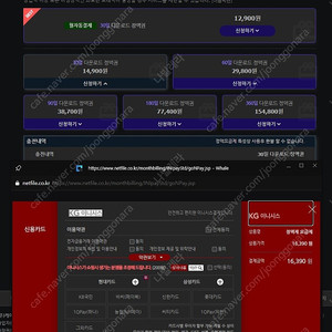 넷파일 (넷폴더) 1개월 같이 하실분 모십니다~