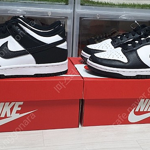 W260 나이키 덩크로우 범고래 팝니다