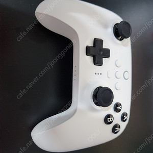 8bitdo ultimate NS 닌텐도 스위치 컨트롤러