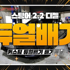 스팅어 2.2 디젤 커스텀 듀얼배기 배기튜닝 [안산 직거래]