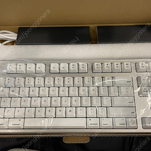 리얼포스(REALFORCE) R2TLMSA 화이트 저소음 APC 영문 균등(30g)