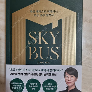 (신간 베스트셀러책)스카이버스SKY BUS(분당강쌤)