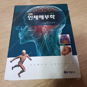 인체해부학 현문사 택포1만