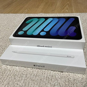 (미개봉) iPad mini 6세대 Wi-Fi 256GB +펜슬2세대 판매합니다