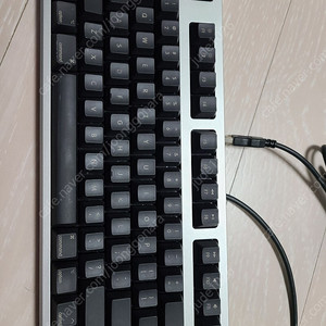 리얼포스 REALFORCE r2 ﻿Mac 45g 저소음 (블랙)