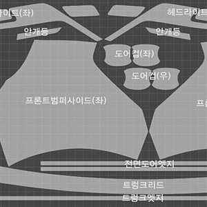 카니발 4세대 PPF 필름 7종