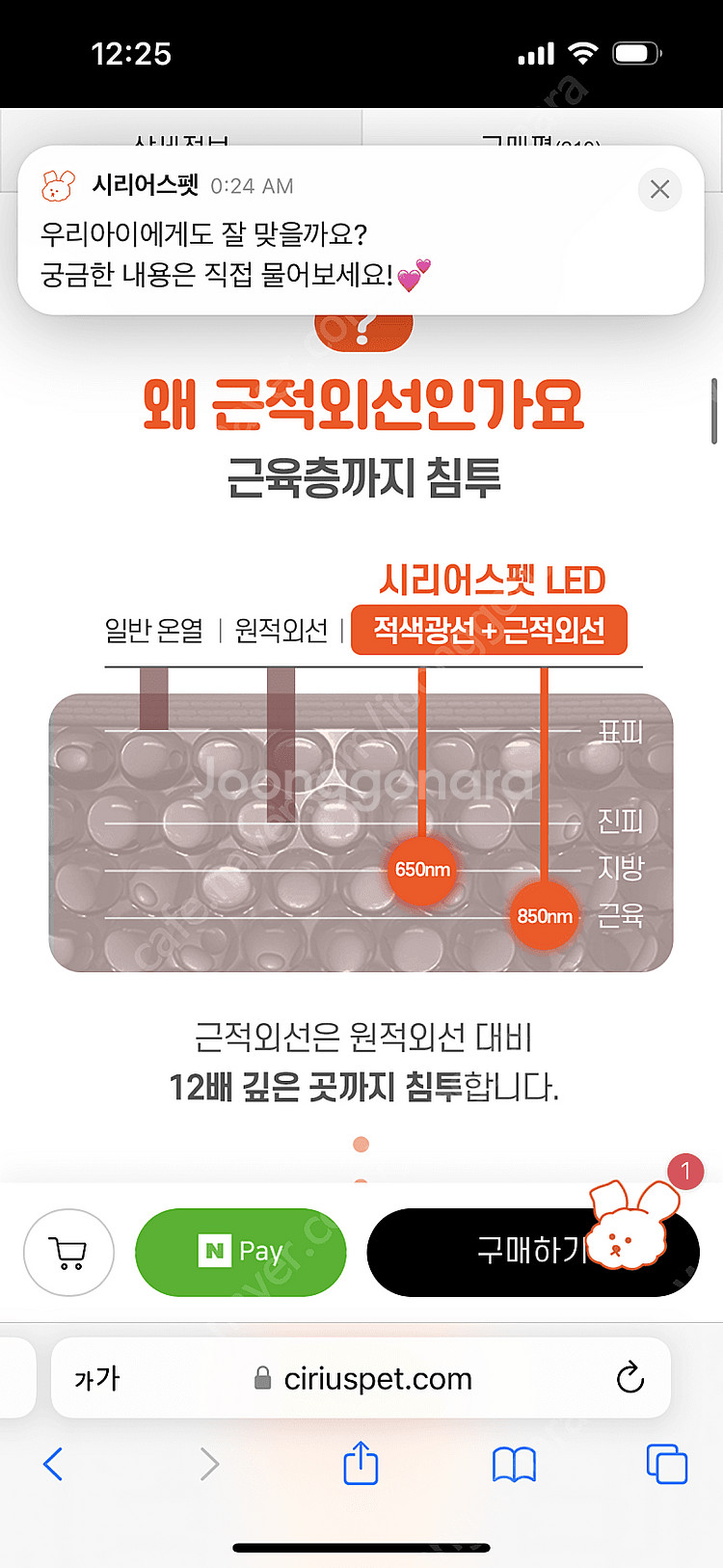 시리어스 강아지 슬개골 적외선 찜질 따땃망토 구매가격 130,000원--3