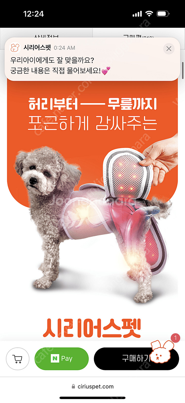 시리어스 강아지 슬개골 적외선 찜질 따땃망토 구매가격 130,000원--7