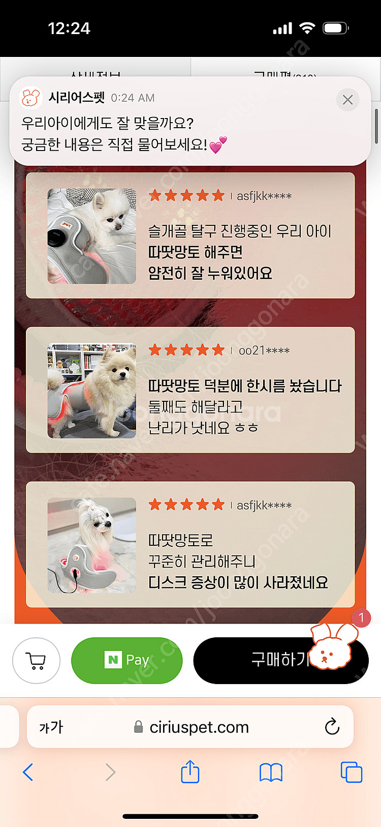 시리어스 강아지 슬개골 적외선 찜질 따땃망토 구매가격 130,000원--8