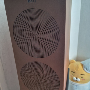 Kef r3 팝니다..