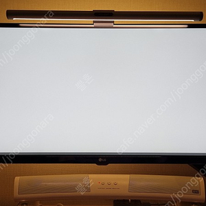 LG 34인치 울트라 와이드 QHD