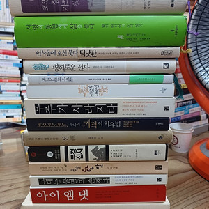 초인들의 삶과 가르침을 찾아서.서양이 동양에게 삶을 묻다.무경십서.인사동에 오신붓다 탁닛한 .외기타 .