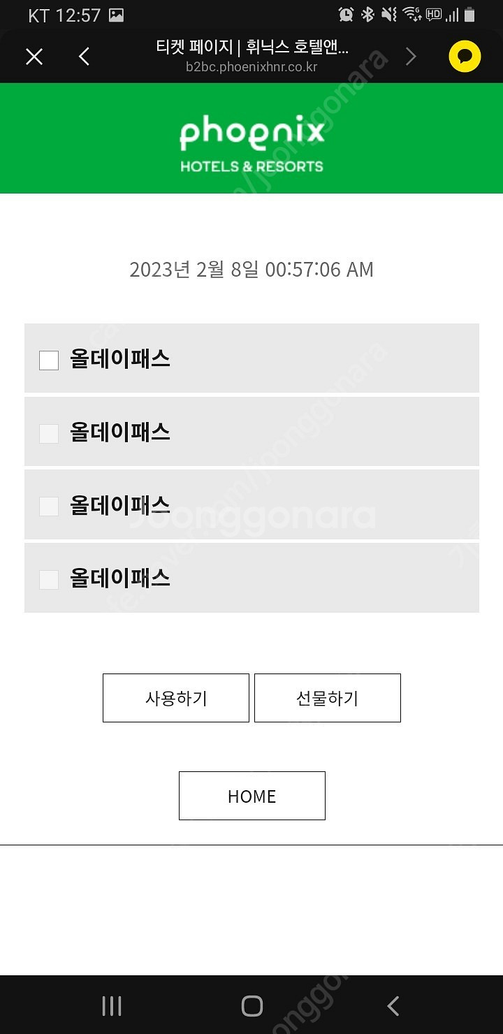 휘닉스파크 올데이리프트 렌탈12일13일--1