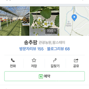 송추팜 딸기농장 4인 양도