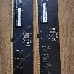 클레브 DDR5-5600 하이닉스A다이 언락 (16GB*2)
