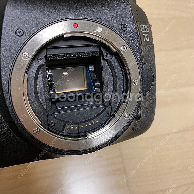 캐논 7d + 탐론 17-50mm 일괄 입문용 dslr--2